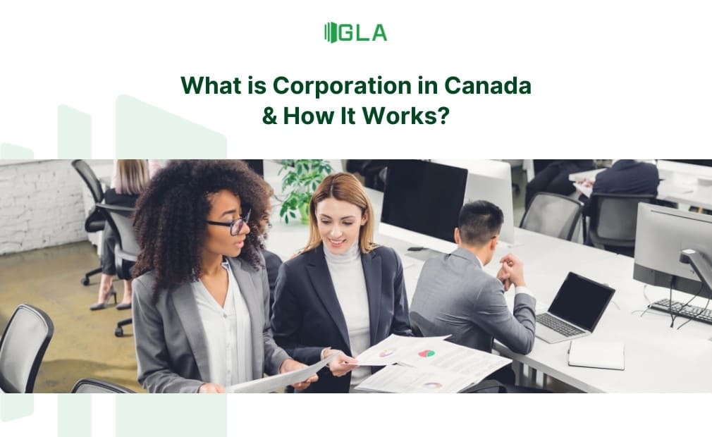 Thành lập công ty cổ phần cấp tỉnh hay cấp liên bang tại Canada?
