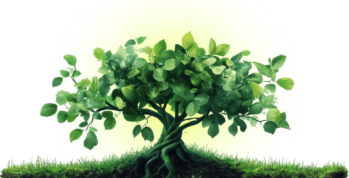 Doanh nghiệp phát triển